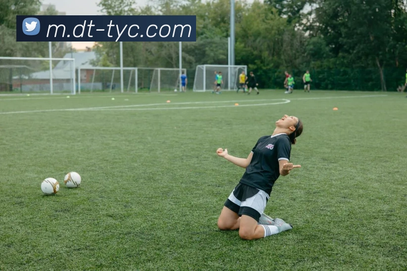 太阳城网站服务体系